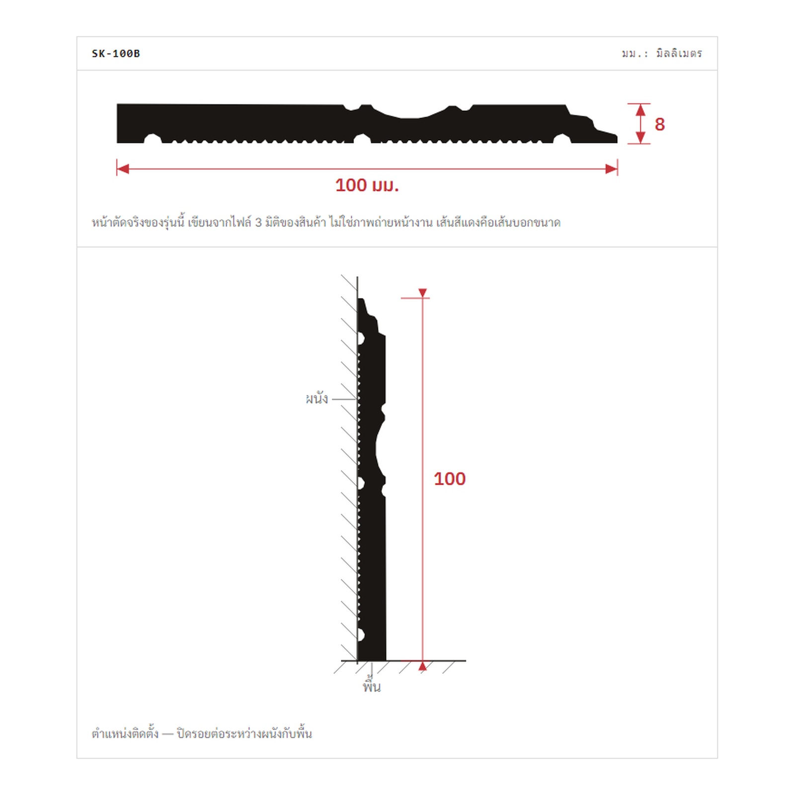 SK-100B cross-section, 100x8 mm